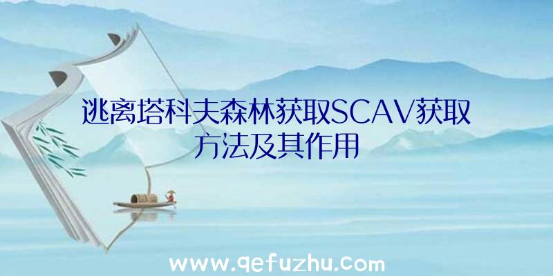 逃离塔科夫森林获取SCAV获取方法及其作用