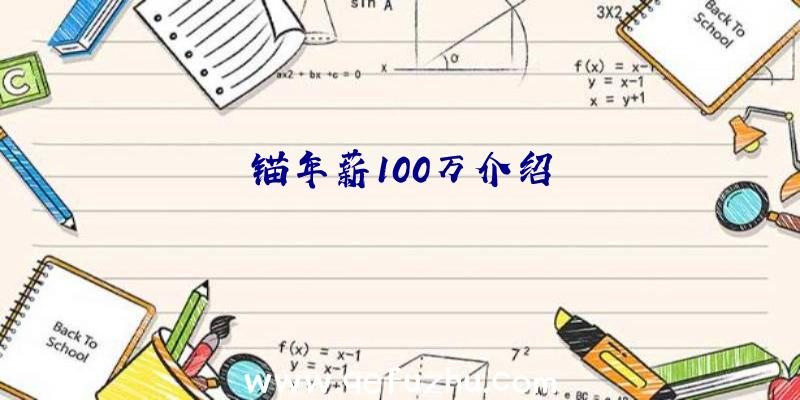 锚年薪100万介绍